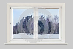 View from the window winter forest