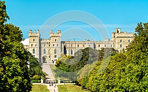 View of Windsor Castle from the Long Walk, England