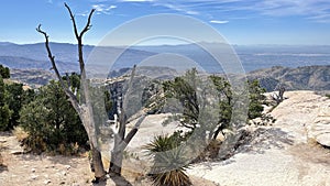 View from Windy Point on the road up to Summerhaven, Mount Lemmon, Tucson, Arizona