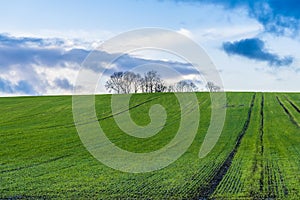 A view of winter farmland from the Brampton Valley Way near Market Harborough, UK