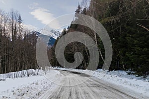 A view of a winter mountain road covered with snow and sand in a pine forest. Asphalt road under the snow. The concept