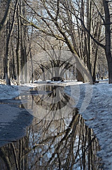 a view of winter in the park in Ulyanovsk