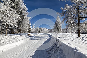 View of a winter road with trees covered with frost on a Sunny day in the Altai mountains, Western Siberia