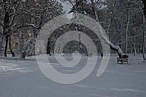 View of a winter scene with a park benchs