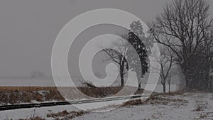 View of a Winter Snow Storm With Blowing Winds and Snow