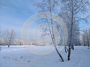 View of the winter street of the Omsk city