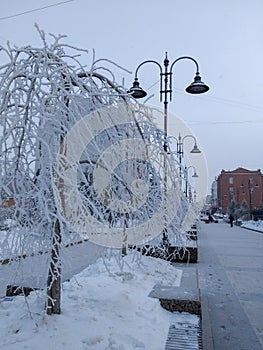 View of the winter street of the Omsk city