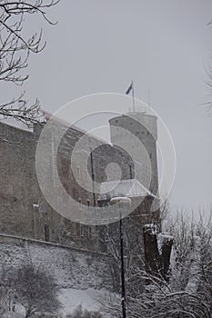 View by winter to snowy landscape and Tall or Pikk Hermann Tower with estonian flag. Tree in the front. Toompea Castle