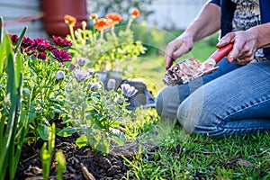 View of woman kneeling in grass planting flowers near house