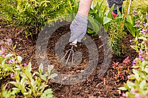 View of a woman`s hand hoeing weeds in the garden on a hot summer day, weeding grass, garden and cleaning work in the