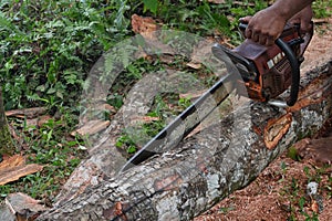 View of a wood cutting done by a chainsaw with the hands firmly holding it