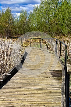 View of a wooden boardwalk through a marshy area