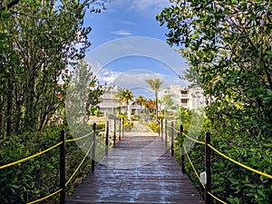 View from the wooden bridge surrounded by the jungle to the hotel Tryp Cayo Coco grounds