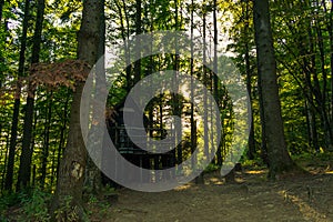 View of a wooden mountaineer lodge or house in the forest on Medvednica mountain near Zagreb in Croatia, Europe