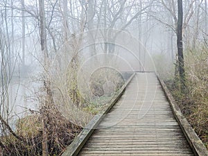 View of wooden pathway bridge surrounde with fog in the forest