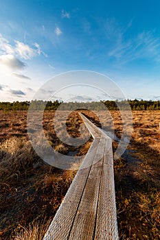View on the wooden pathway on the Estonian bog at sunny winter day without snow