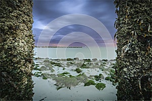 View through wooden poles covered with seaweed and barnacles at low tide with passing cloudy sky at twilight