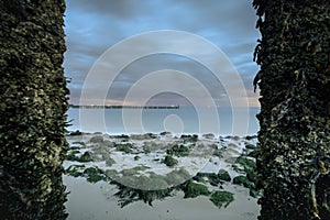 View through wooden poles covered with seaweed and barnacles at low tide with passing cloudy sky at twilight