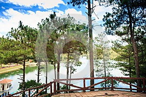 View from Wooden Terrace Through Pines on Tranquil Lake