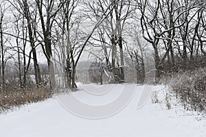 View of the woodlands and plains of Scioto Groves