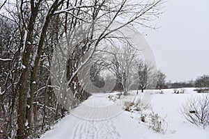 View of the woodlands and plains of Scioto Groves