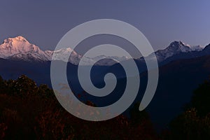 View of world`s tallest mountain peaks at dawn from summit of Poon Hill, Nepal