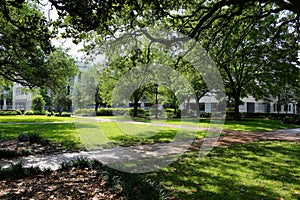 View of Wright Square, Savannah Georgia