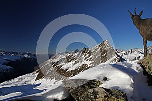 Gurgler valley in Alps, Austria