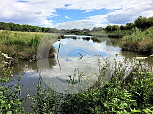 A view of WWT Washington