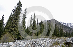 View of XiaTa Grassland