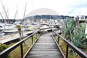 A view of a yacht harbor in Japan.