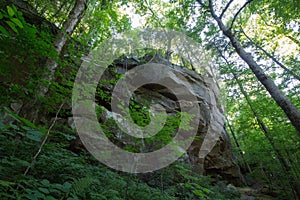 View of the Yahoo Falls Area, Kentucky