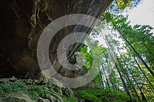 View of the Yahoo Falls Area, Kentucky