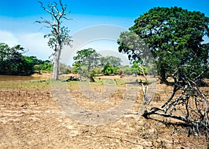 View of Yala national park, sri lanka`s most famous wild life park