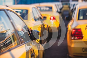 View of yellow taxi cab parking lot with yellow cars standing, set of taxicabs in the streets, taxis