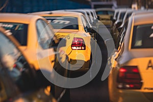 View of yellow taxi cab parking lot with yellow cars standing, set of taxicabs in the streets, taxis