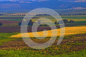 View of Jezreel valley near mount Tavor Israel photo