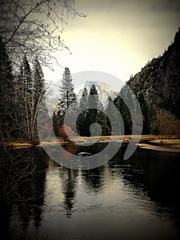 View of the Yosemite creek in the Yosemite Valley, Sierra Nevada, Lomography