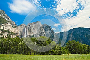 View of Yosemite Falls from Yosemite Valley Meadows, California, USA. Near Landmarks: Tunnel View, El Capitan