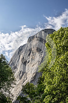 View of Yosemite Valley and El Capitan