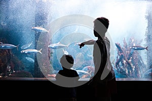 View of young kids watching fishes in aquarium