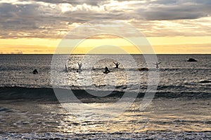 A view of young lifesavers practicing.