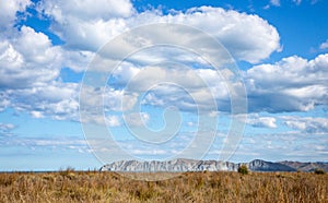 View of Young Nicks Head with beachside golden summer dry dune grasses and blue sky with cumulus clouds, Gisborne, New Zealand