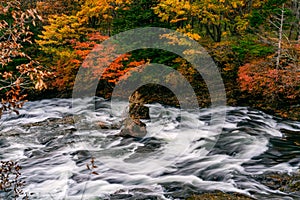 View of Yukawa River flow rapidly passing rocks in colorful foliage of autumn season