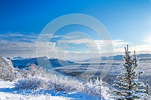 View of Yukon territories wilderness