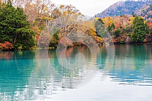 View of Yuno Lake in autumn season at Nikko national park, Nikko, Japan.