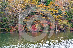 View of Yunoko lake in autumn season at Nikko national park, Nikko, Japan