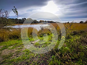 View on Zandbergsvennen in Kampina nature reserve near Oisterwijk, Netherlands