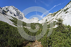 View of Zelenjak peak with VrtaÃÂa mountain on the left