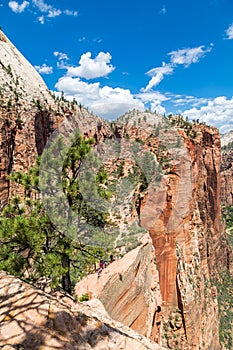 View of Zion National Park from top of Angelâ€™s Landing, Utah, USA